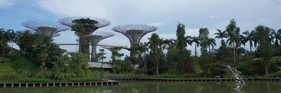 Singapore View